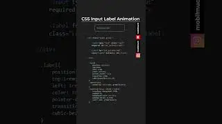 CSS Input Label Animation 