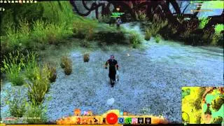 Guild Wars 2 : How to get to Dark Thorn Patch Skill Point (Caledon Forest)