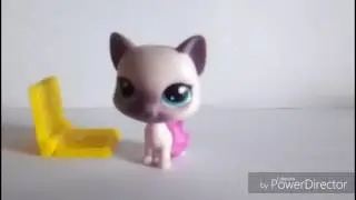 Как снимают видео новички и продвинутые 😎😹