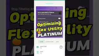 Optimizing Flex Utility PLATINUM in 2024