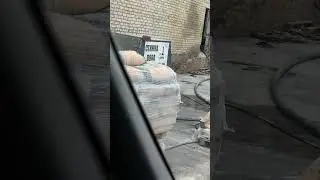 Стяшка Пола за день 👌
