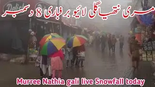 Murree live Snowfall today | murree live today | nathia gali live today | #murree weather #2024