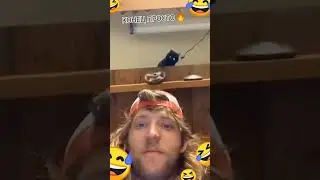 #юмор