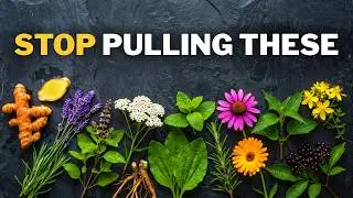 14 Ancient Healing Plants Every Garden Must Have