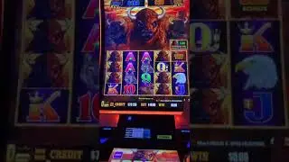 #buffalogold #slotmachine #jackpot