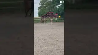 wpadajcie na mój drugi 🐴❤️🎧💗kanał@koniara