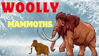 Woolly Mammoths for Kids!