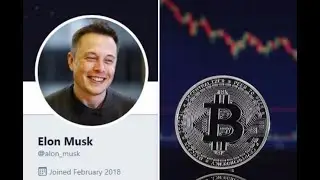 Bitcoin scammers are impersonating Elon Musk and Donald Trump on Twitter to steal cryptocurrency - 2