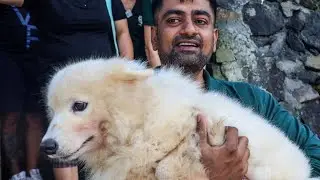 Dog slaughterhouse shut down!