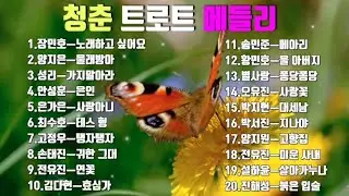 💞청춘 트로트 메들리💞 장민호.성리.양지은.안성훈.전유진.최수호.박지현.진해성.박서진.설하윤.김다현.손태진.송민준.황민호.오유진.양지원.별사랑.은가은.고정우