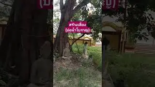 มรดกทางภูมิปัญญา #ชีวิตต้องสู้ #ชีวิตในต่างแดน #เกษตรพอเพียง #เที่ยวไทย