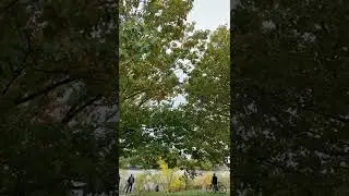 Head of the Charles - 2022