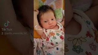 пять двадцать уже