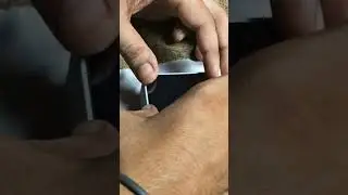 GoPro Tempered Glass Install