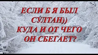 ЕСЛИ Б Я БЫЛ СУЛТАН))... ИЛИ КУДА И ОТ ЧЕГО ОН СБЕГАЕТ