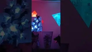Когда Надо Красиво 🤣🤣🤣 #funny #funnyshorts #funnyvideo #funnymoments #funnyclips #funnyanimals