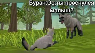 Wildcraft сериал|Волки воители|Начало|