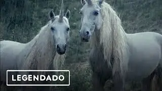 ☆LiL PEEP☆ x  horsehead - right here (legendado)