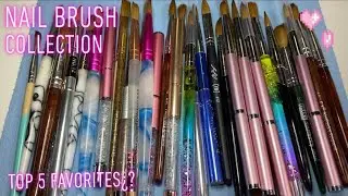 ACRYLIC NAIL BRUSH COLLECTION | Beginner Nail Supplies w/ links