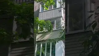 Когда проснулся в 5 вечера 😂 