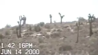 MiniDocu Area51