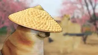 meme giải chí mùa dịch :]