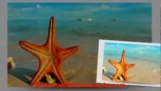 Cute Slider WP - Demo of a Wordpress Slider Plugin
