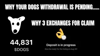 Dogs withdrawal pending Explained || why only 3 exchanges made it to claiming of Dogs airdrop.