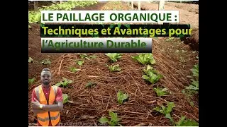 🚨How to successfully apply organic mulch