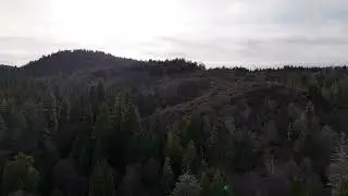 DJI M4P Along The Fenceline