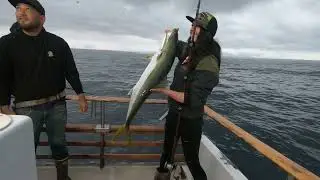 Fishing Coronado Islands, On the Daiwa Pacific, June 10, 2023