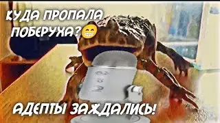 [VASHA YANA]-Куда пропала Поберуха?😁Адепты сойдут с ума!🤪(юмор).