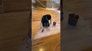Color para madera Golden pecan #ricardofloors #shortyoutube