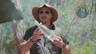 How to Desalinate Salt Water, and Find Drinking Water in the Bush: Survival Tip