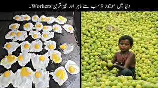 9 Most fastest workers in the world | Mr. cheeta 🐯