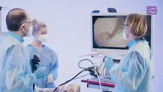 ERCP - Endoscopic Sphincterotomy using a Triple-Lumen Standard Sphincterotome - EndoFlex GmbH - EN