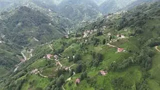 Kartal gözü ile yeşilliklere doğru