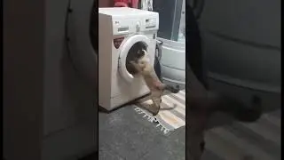 Большая стирка