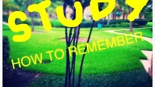 What is the best time to study | When should i study | How to remember what i study