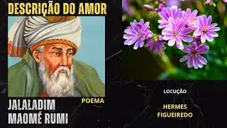 Poetry 