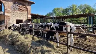 Passeggiata al Parco di Monza con Ivan e visita all'azienda agricola per vedere gli animali