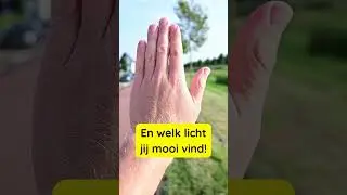 Portret fotografie 
