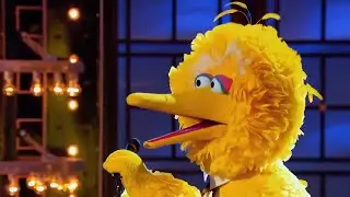 BIG BIRD IS THE BIGGEST BIRD!