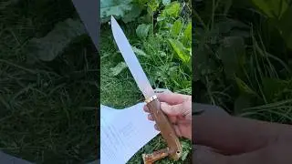 AEB-l экспресс тест.