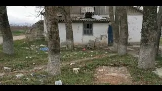 ПЕШКОМ СО СТАНИЦЫ🏃ПОЧТИ УЛИЦА БРОШЕННЫХ ДОМОВ🤔