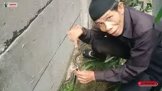 Untung Ketahuan Warga 