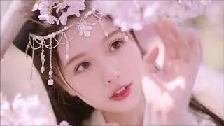 海来阿木 《桃花缘》 MTV