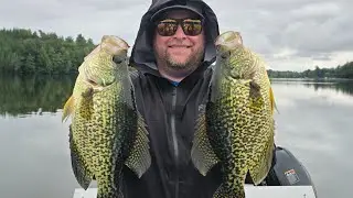 GIANT Fall Crappie EXPOSED! {Location, Baits, Depth and MORE!}