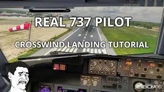 Real 737 Pilot | Crosswind Landing Tutorial | ZIBO MOD 737NG