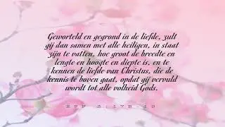 Ik zal de wereld laten zien dat Ik God ben